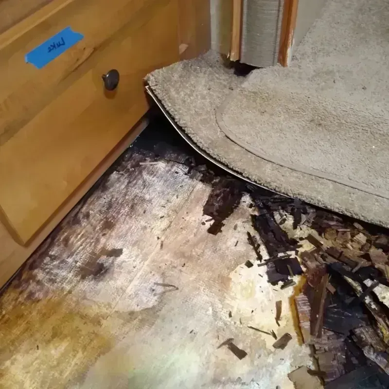 Wood Floor Water Damage in Lincoln, IL